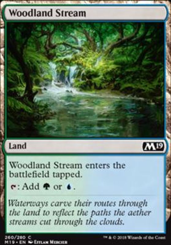 Woodland Stream