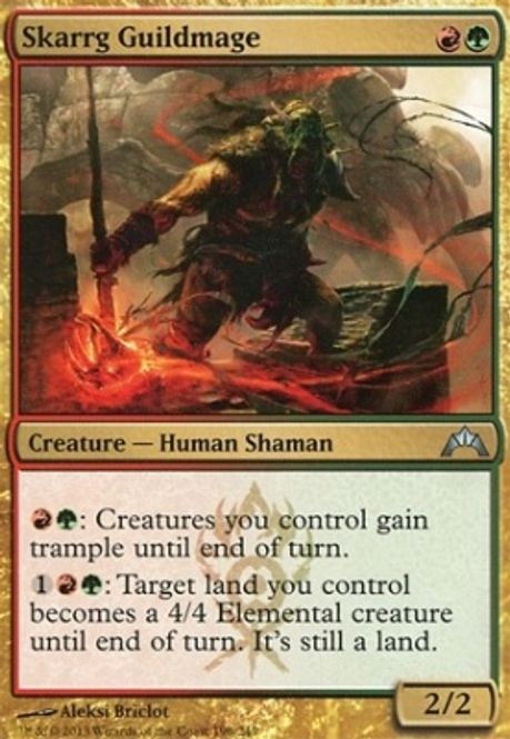 Hovedbilde Skarrg Guildmage