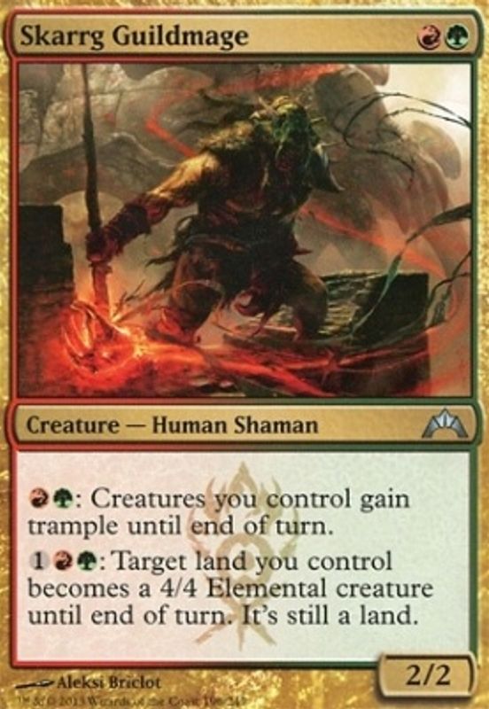 Skarrg Guildmage
