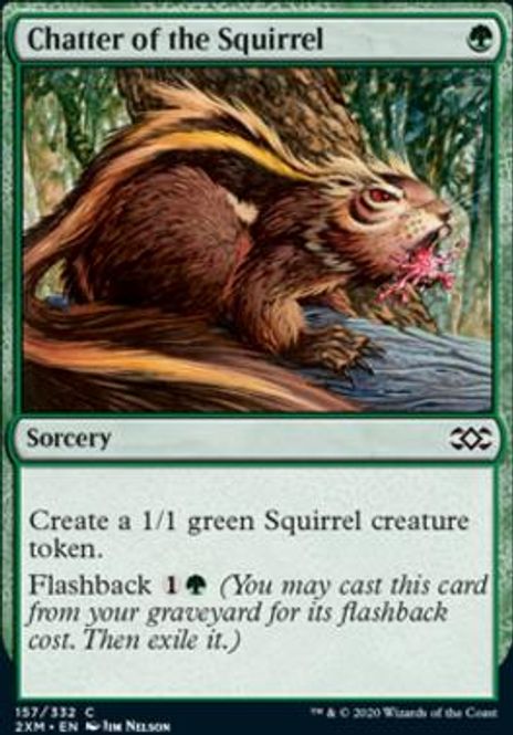 Hovedbilde Chatter of the Squirrel