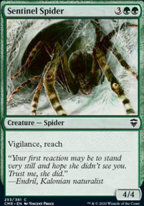 Hovedbilde Sentinel Spider