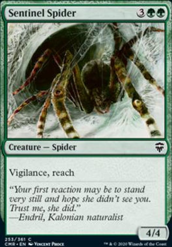Sentinel Spider