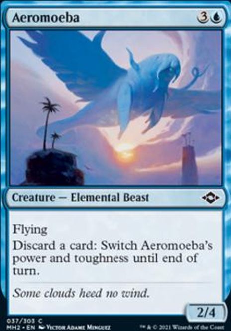 Hovedbilde Aeromoeba