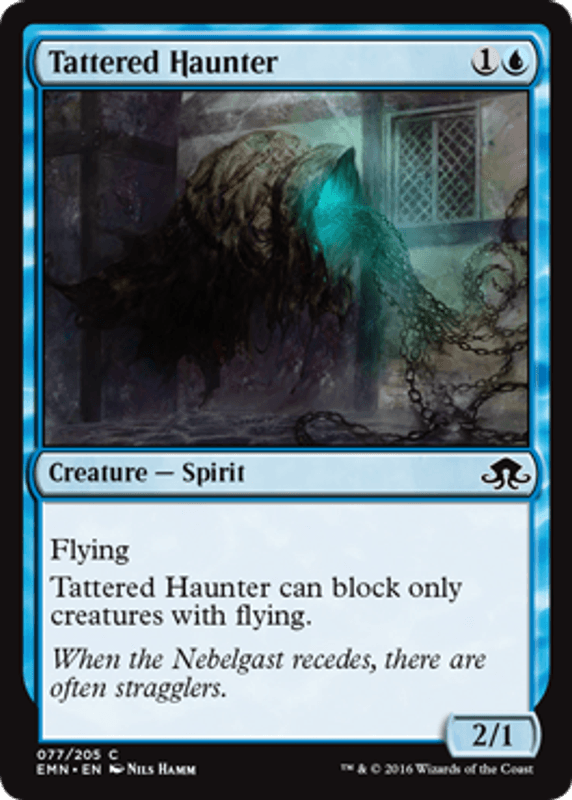Tattered Hunter