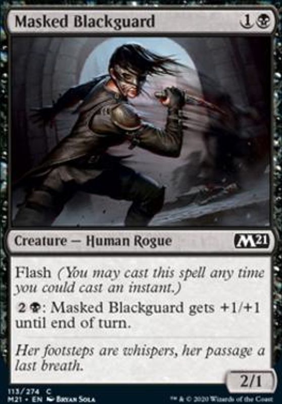 Masked Blackguard