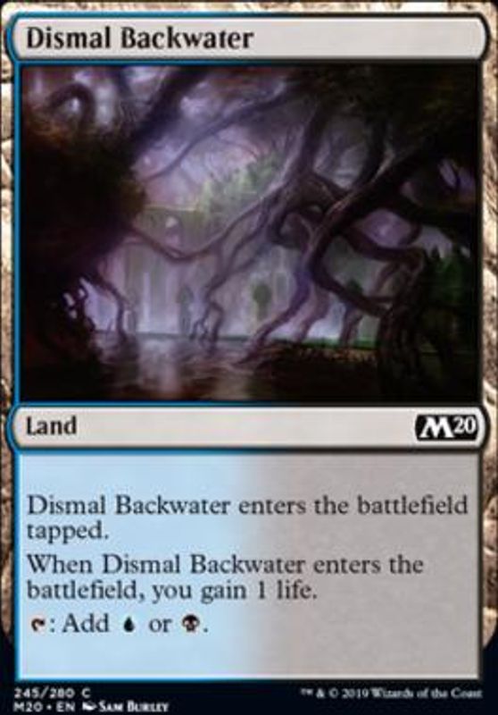 Dismal Backwater