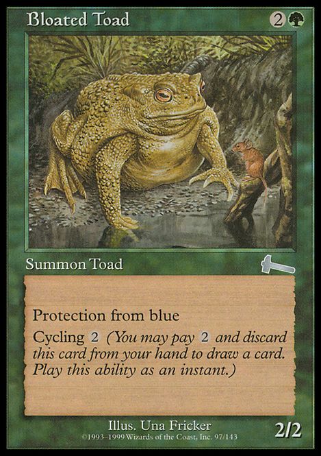 Hovedbilde Bloated Toad