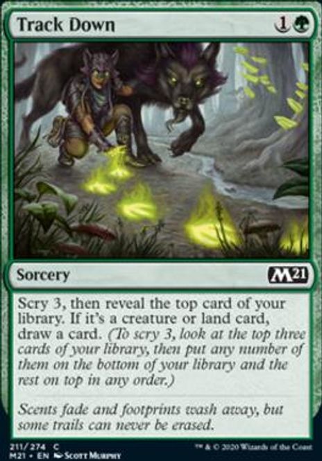 Hovedbilde Track Down (foil)
