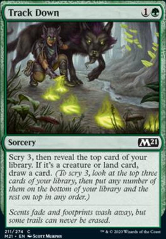 Track Down (foil)