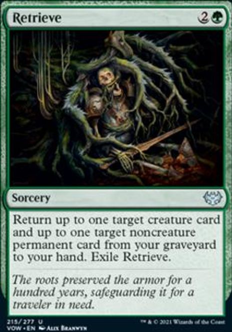 Hovedbilde Retrieve (foil)