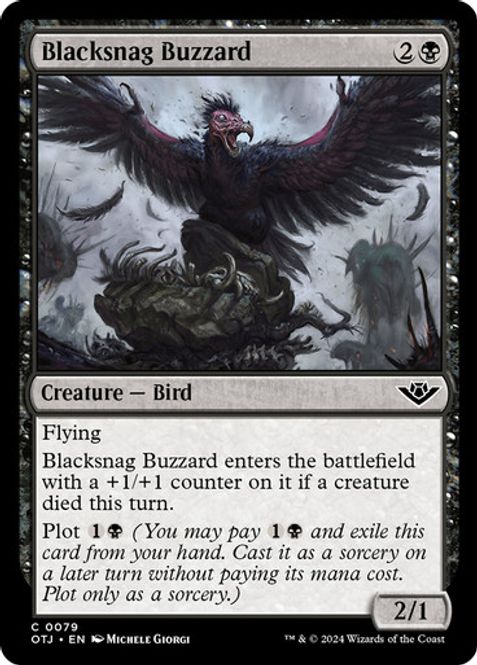 Hovedbilde Blacksnag Buzzard