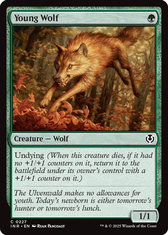 Young Wolf (Foil)