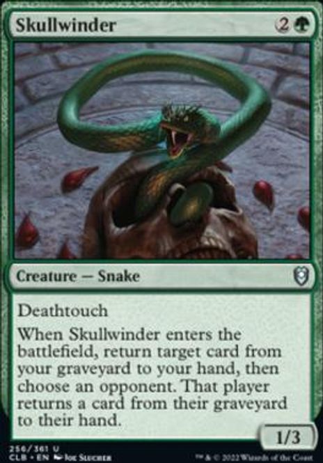 Hovedbilde Skullwinder
