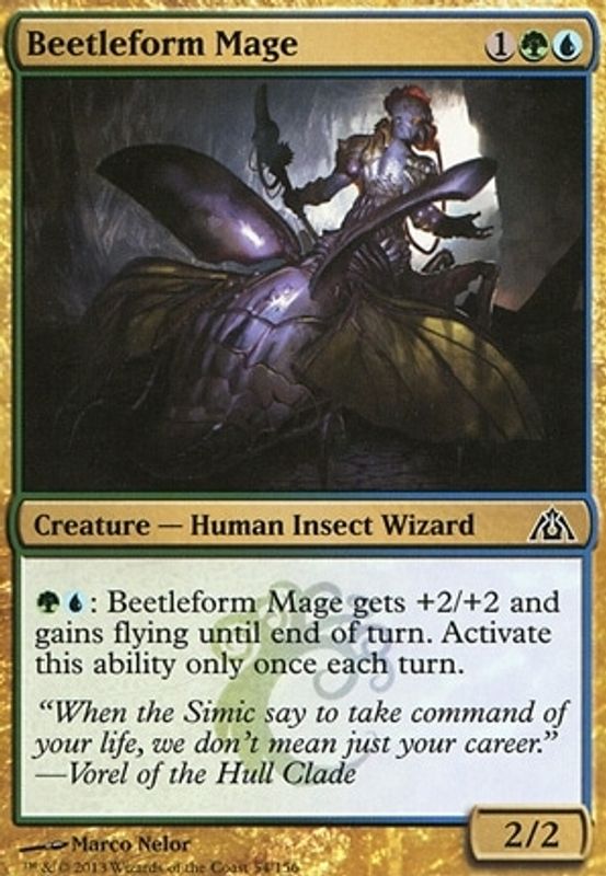 Beetleform Mage