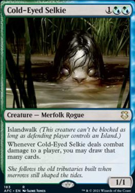 Hovedbilde Cold-Eyed Selkie