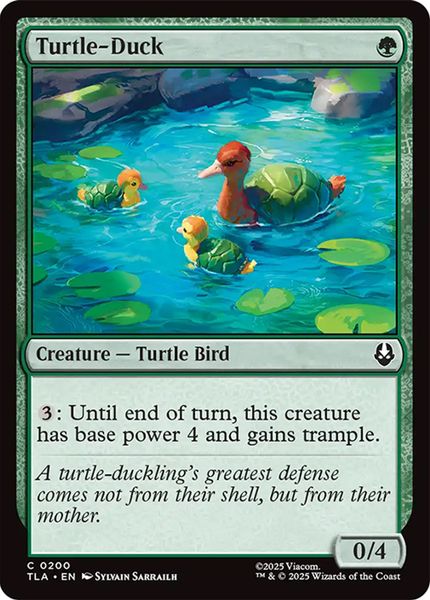 Hovedbilde Turtle-Duck