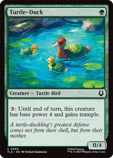 Hovedbilde Turtle-Duck