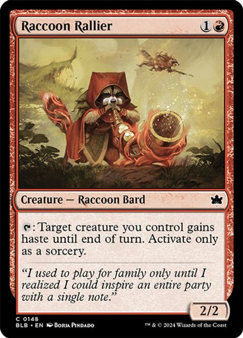 Hovedbilde Raccoon Rallier