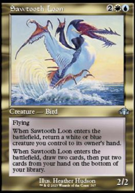 Hovedbilde Sawtooth Loon (Retro Frame)