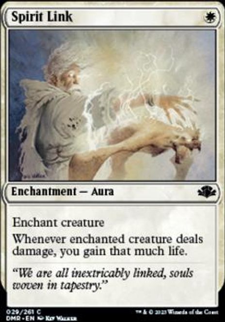 Hovedbilde Spirit Link