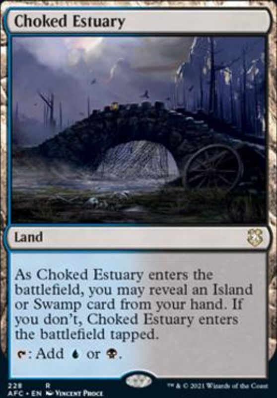 Choked Estuary