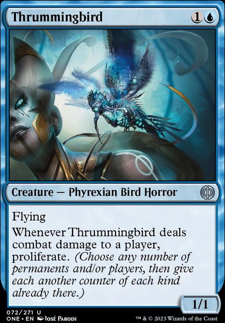 Hovedbilde Thrummingbird