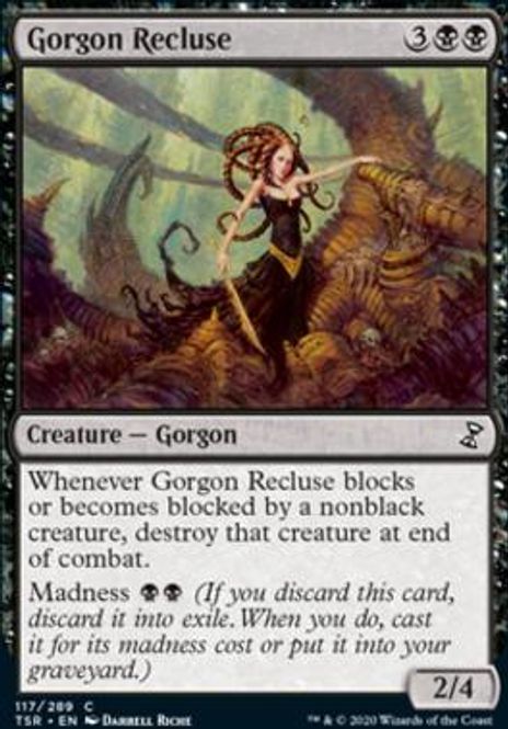 Hovedbilde Gorgon Recluse