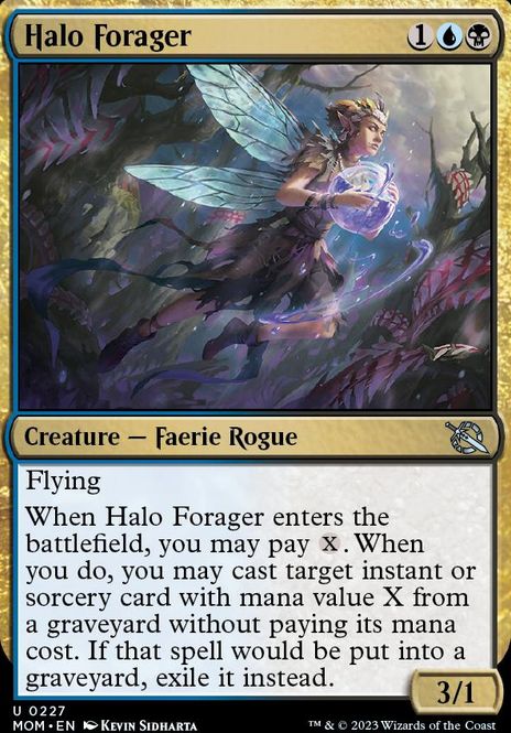 Hovedbilde Halo Forager (foil)