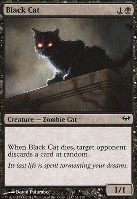 Hovedbilde Black Cat