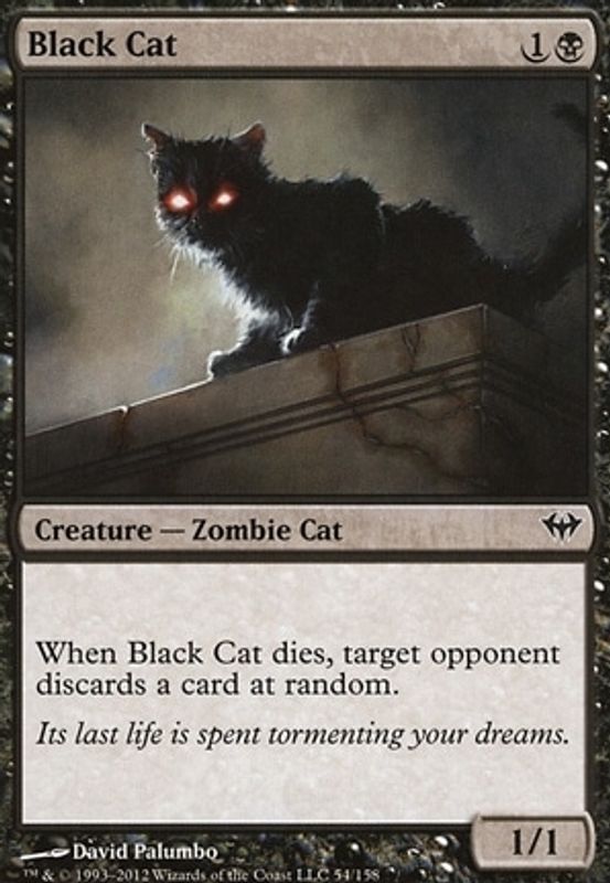 Black Cat